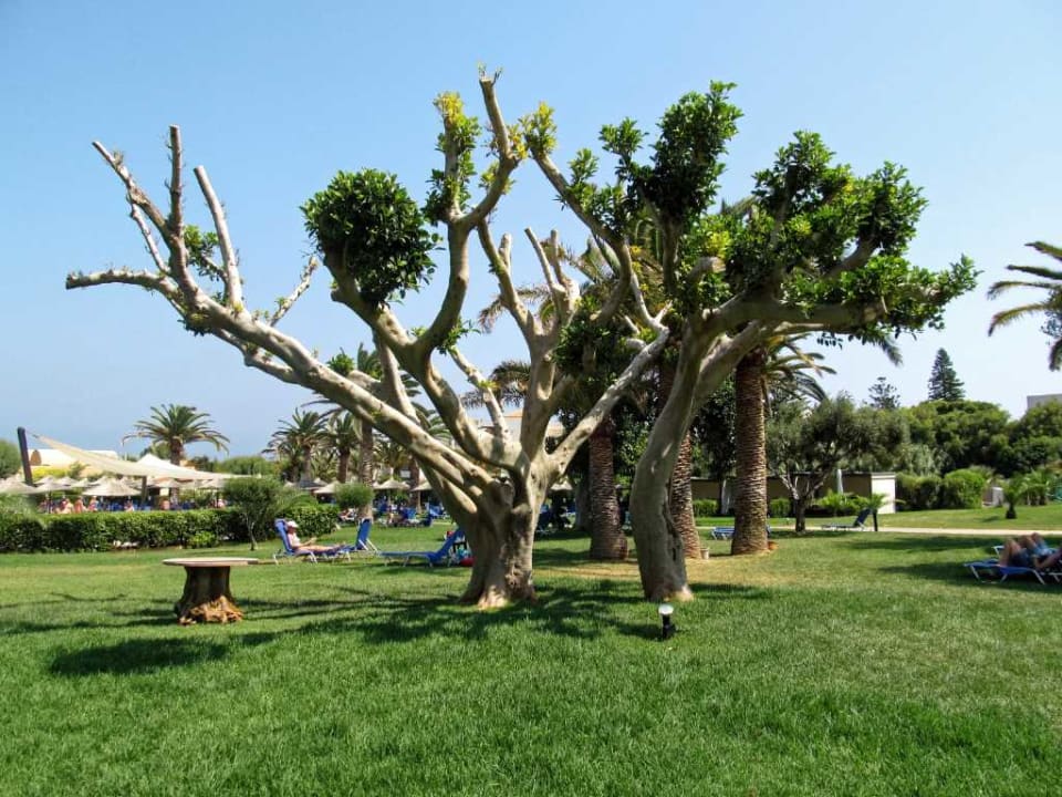 Gartenanlage Anissa Beach & Village