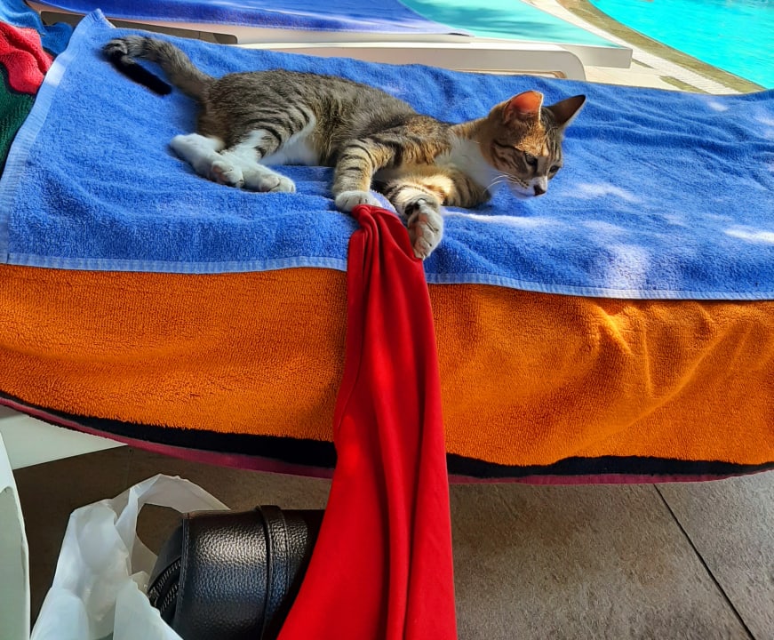 Sonstiges Can Garden Beach