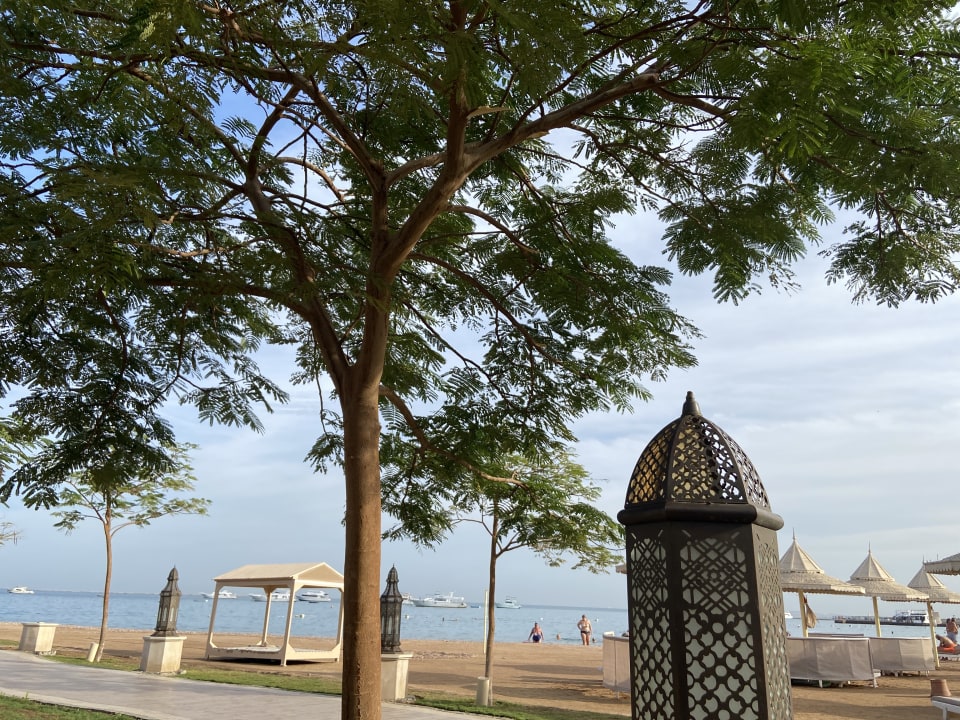 Strand The Grand Palace - Adults only