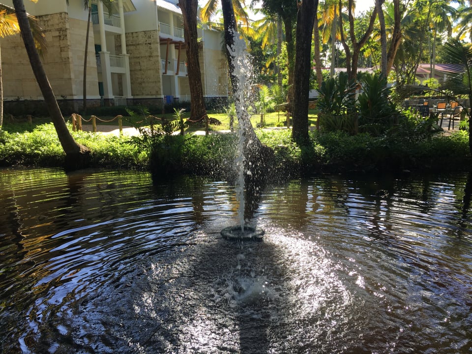 Gartenanlage Wyndham Alltra Samana