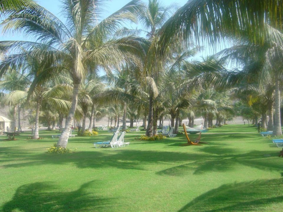 Al Bustan/Muscat Al Bustan Palace - A Ritz-Carlton Hotel