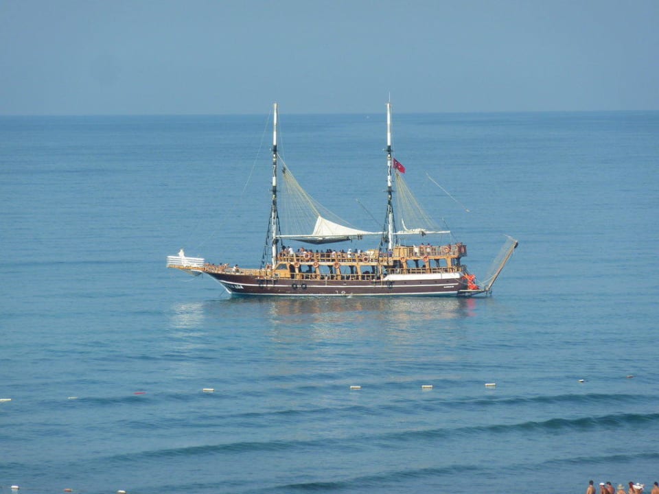 Sentido PALOMA Perissia