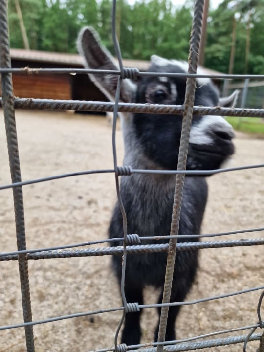 Ausblick Camping Haseufer