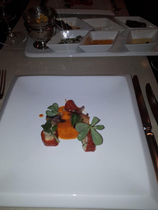 Gastro Lara Barut Collection