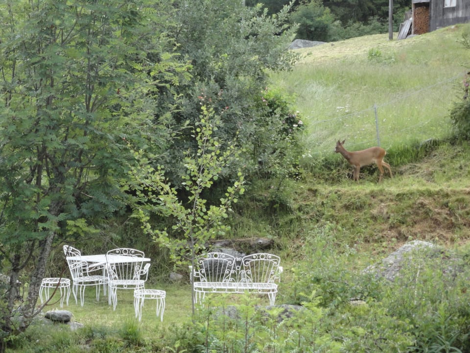 Gartenanlage Chalet Sven & Marc Grächen/St. Niklaus VS