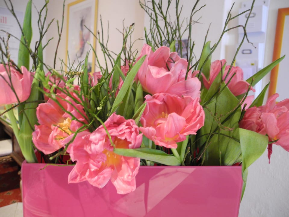 Rezeption Landhaus Gretl by S4Y