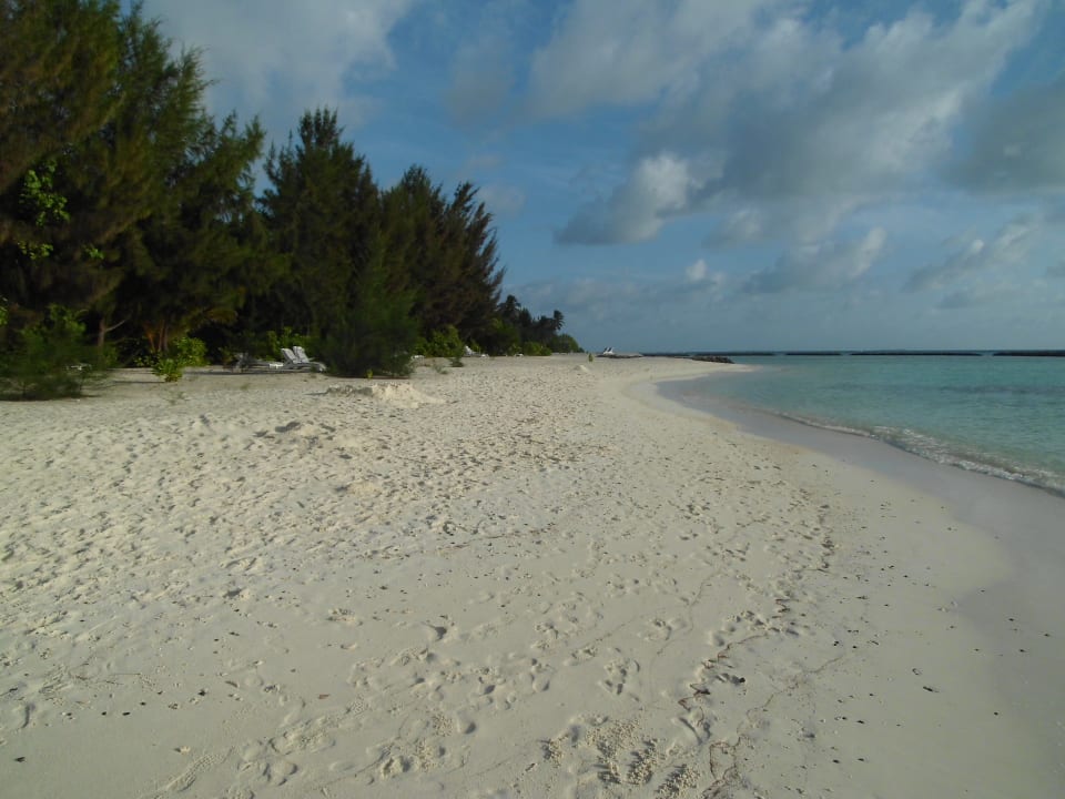 Strand Summer Island Maldives
