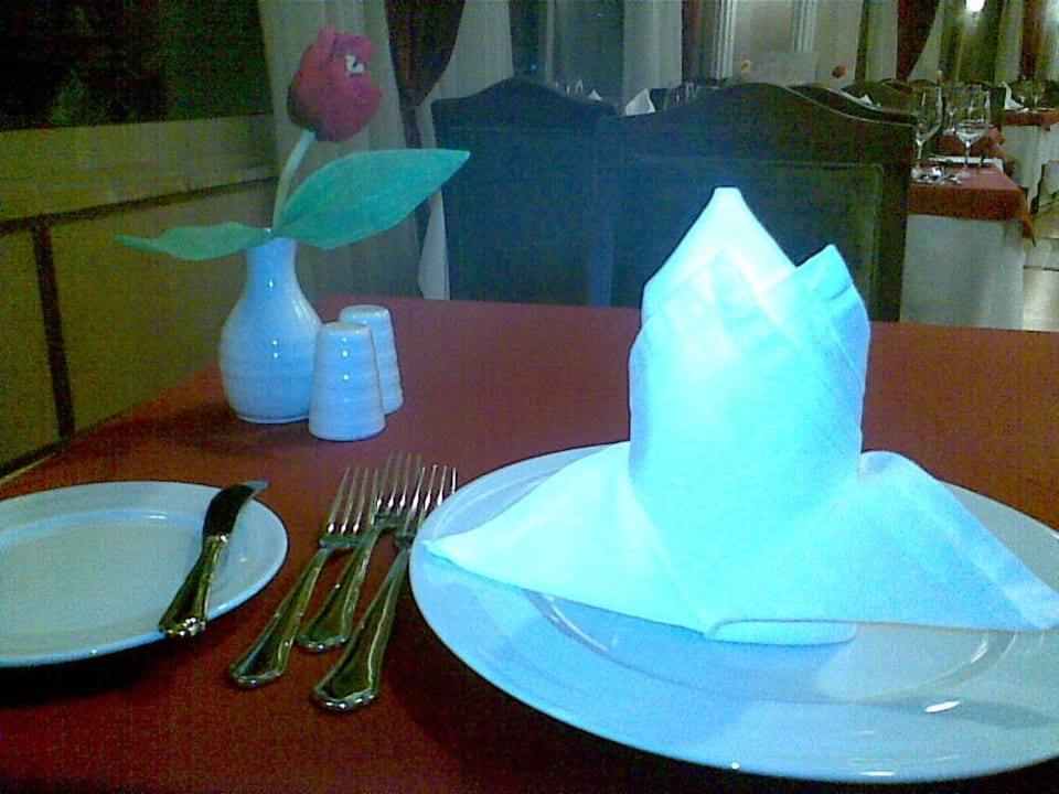 Türkisch a la carte Hotel Royal Dragon