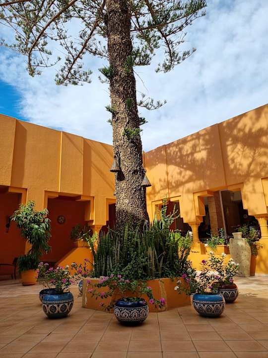 Sonstiges Calimera Delfino Beach Resort & Spa