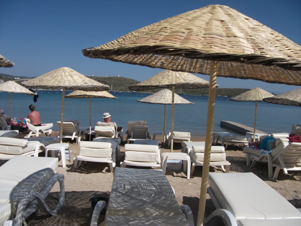 Sunbeds outside the hotel on the beach Hotel Turihan