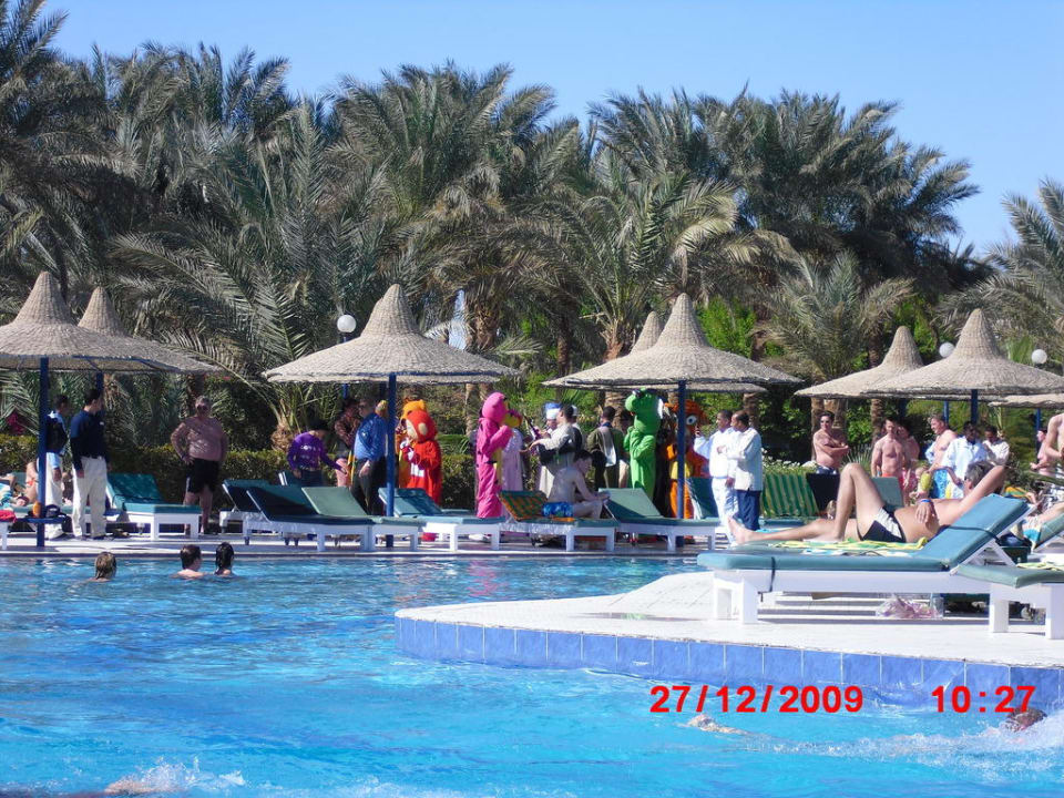 Pool Giftun Azur Resort