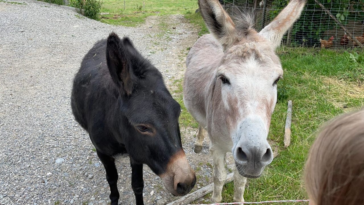 Sport & Freizeit Greinwaldhof Ferienwohnungen