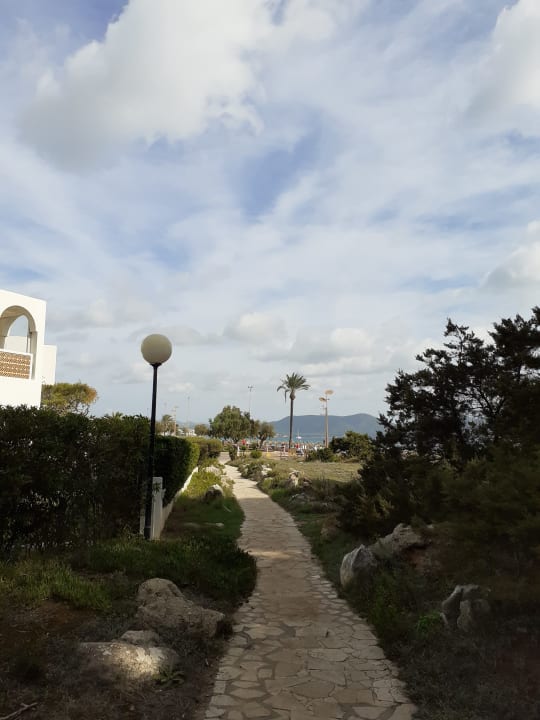 Gartenanlage Hipotels Bahía Cala Millor