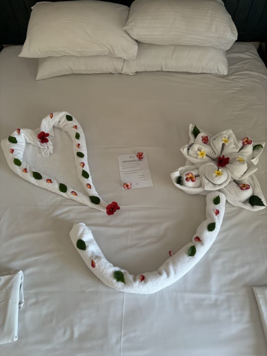 Zimmer Palm Beach Resort