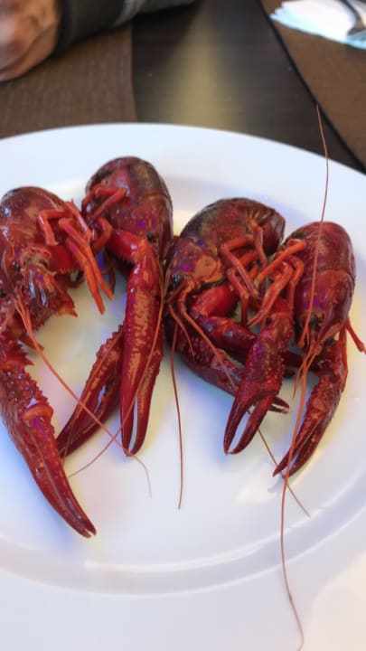 Gastro AHORN Hotel Am Fichtelberg