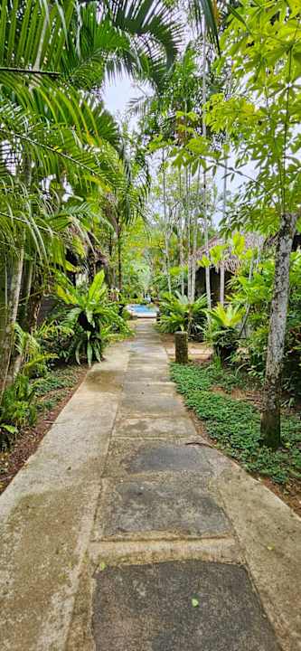 Außenansicht Khaolak Paradise Resort