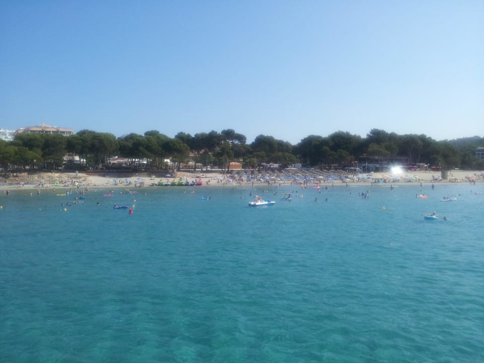 Strandanlage vom Meer aus Mar Hotels Paguera & Spa