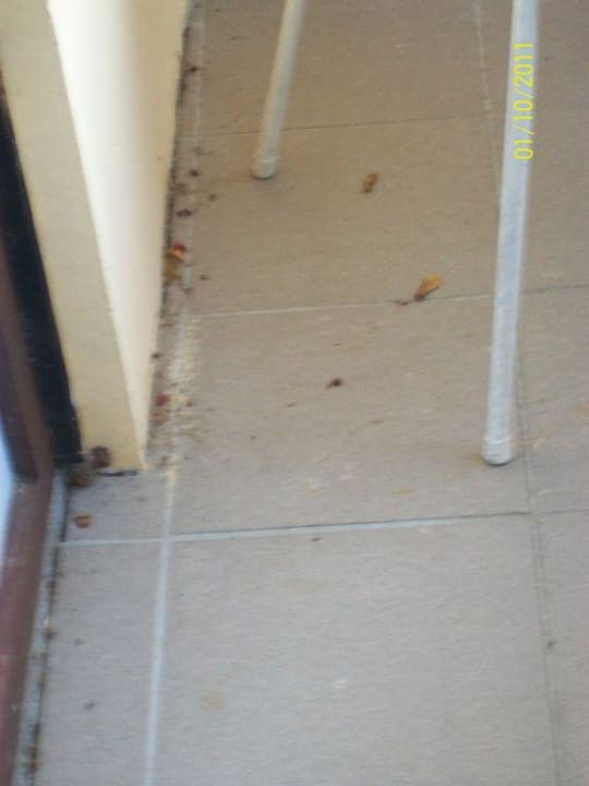 "Einladender" Balkon Ferien Hotel Bad Malente