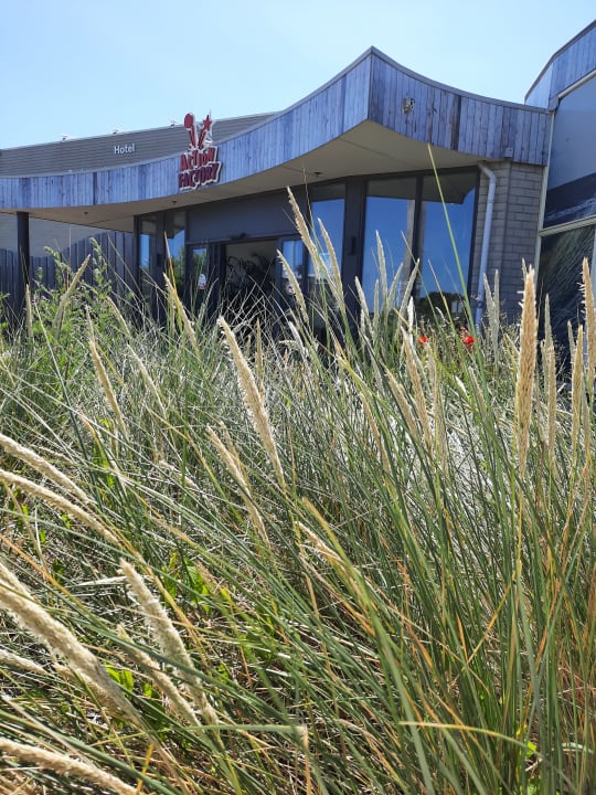 Gartenanlage Center Parcs Park Zandvoort - Ferienhäuser