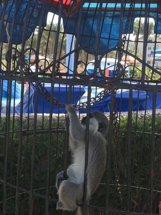 Gartenanlage Riviera Aqua Park Resort