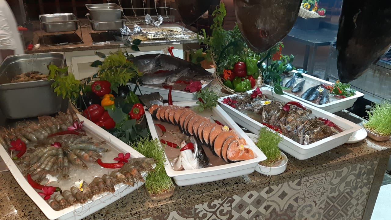 Gastro JAZ Elite Casa del Mar Beach