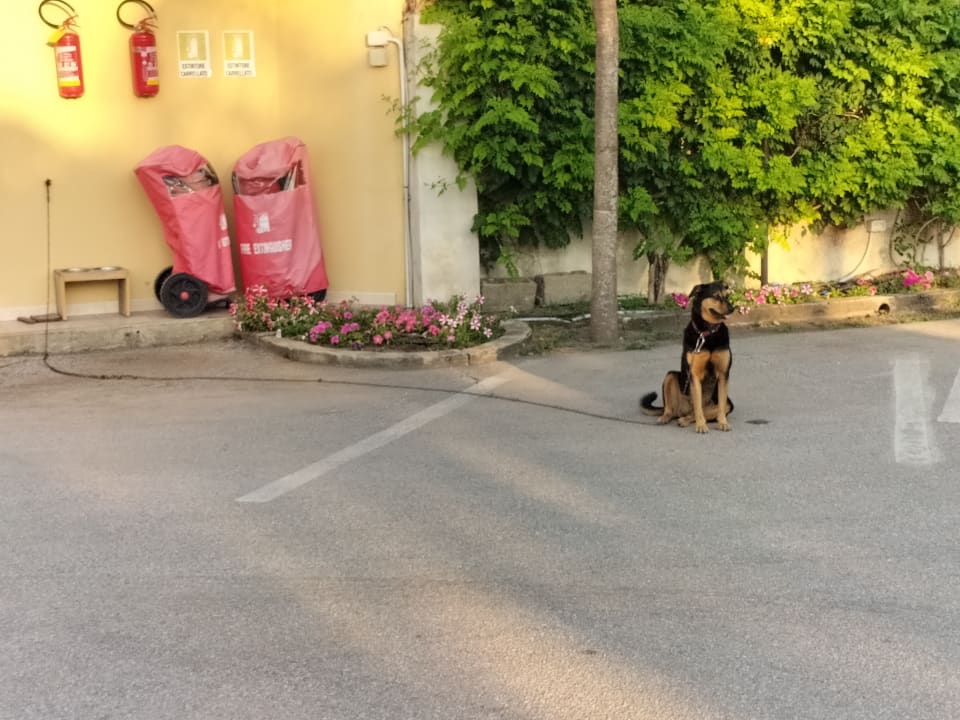 Sonstiges TUI MAGIC LIFE Calabria