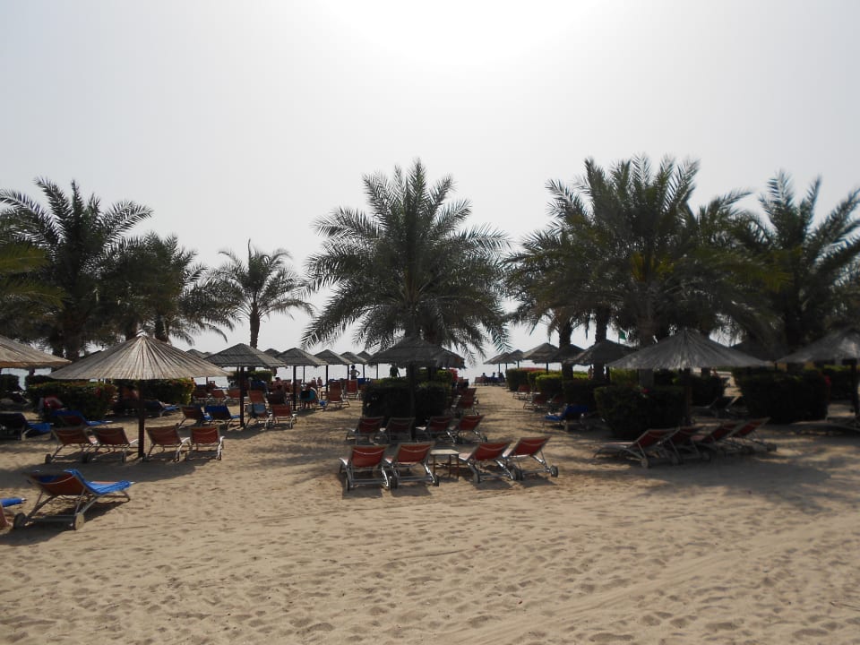 Toller Blick Miramar Al Aqah Beach Resort