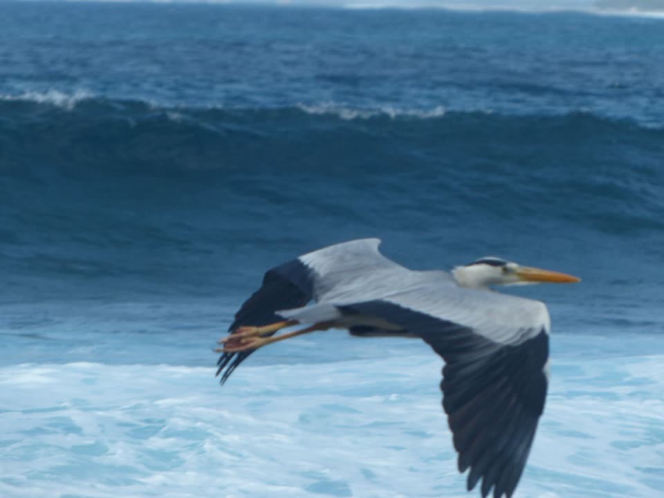 Sonstiges Adaaran Select Hudhuran Fushi - Premium All Inclusive