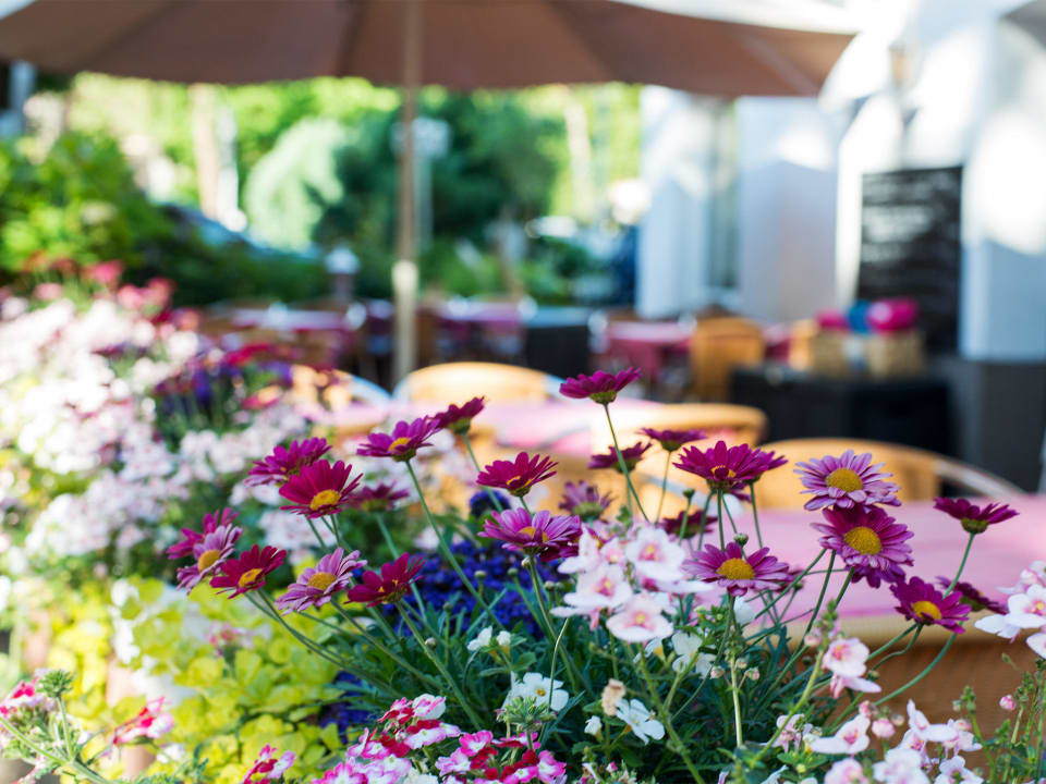 Ostterrasse in der Morgensonne  Villa Neptun
