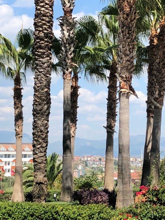 Ausblick Hotel Miramare Beach