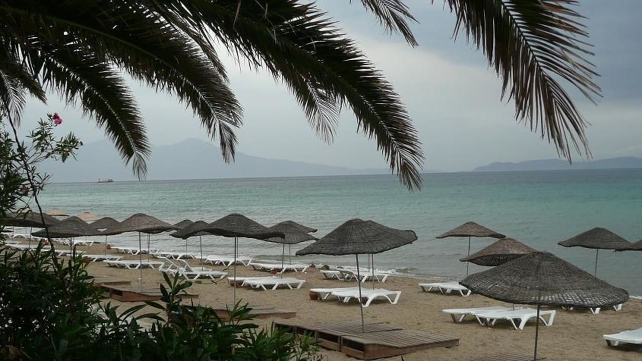 An der Strandbar Hotel Ephesia