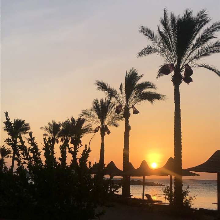 Strand Arabia Azur Resort