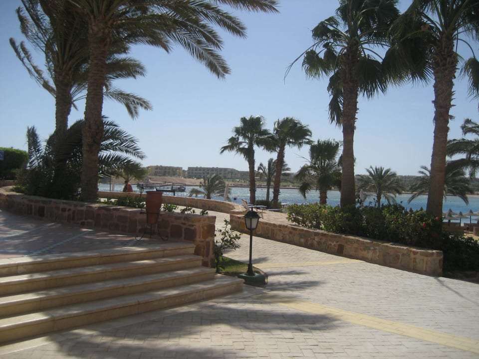 Weg zum Strand Steigenberger Coraya Beach - Adults only