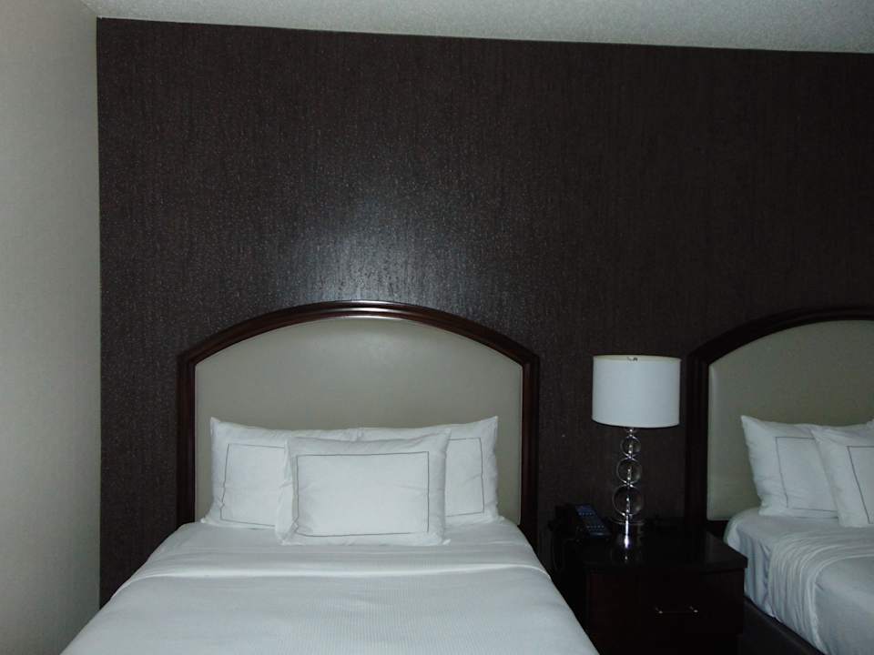 Zimmer Hotel Hilton Atlanta