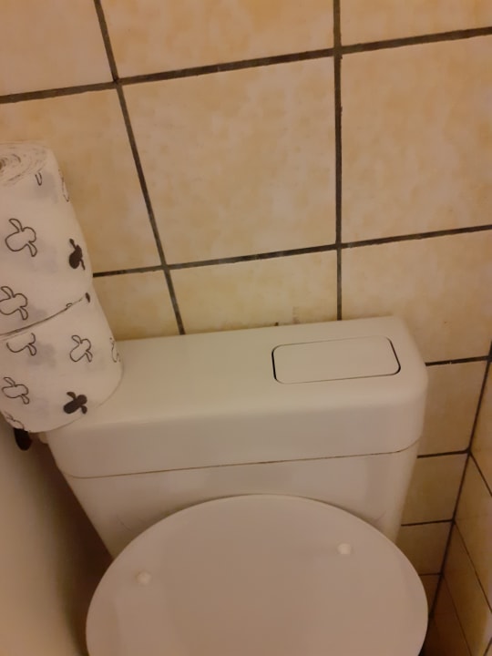 Zimmer Ferienhotel Markersbach