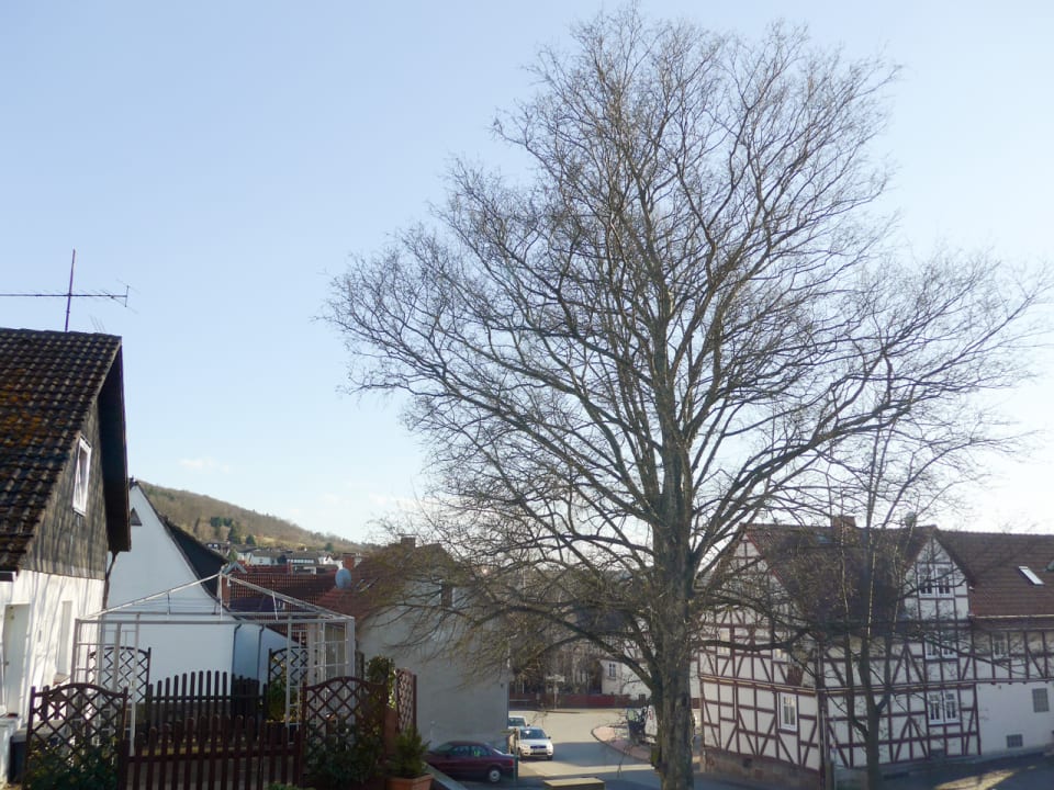 Ausblick Hotel Fritz'es Goldener Stern