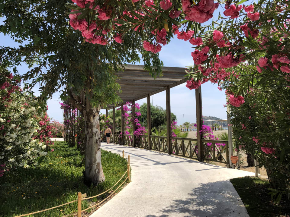 Gartenanlage TUI BLUE Sarigerme Park
