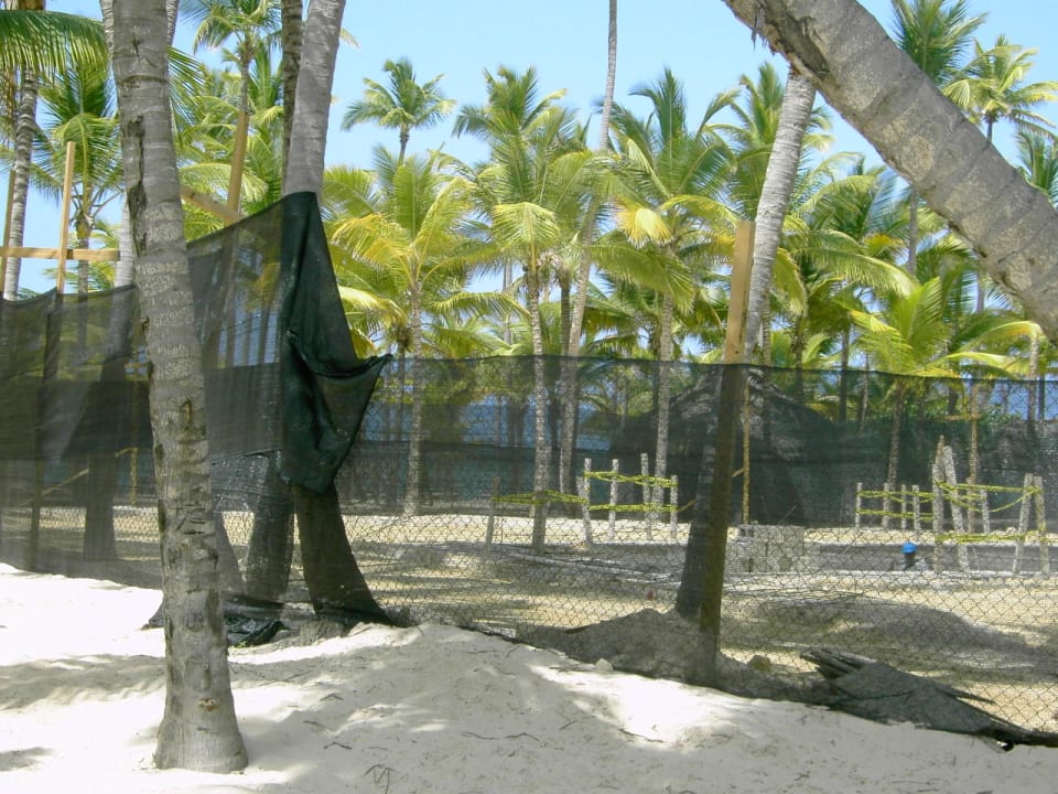 Erste Baustelle Hotel Riu Bambu