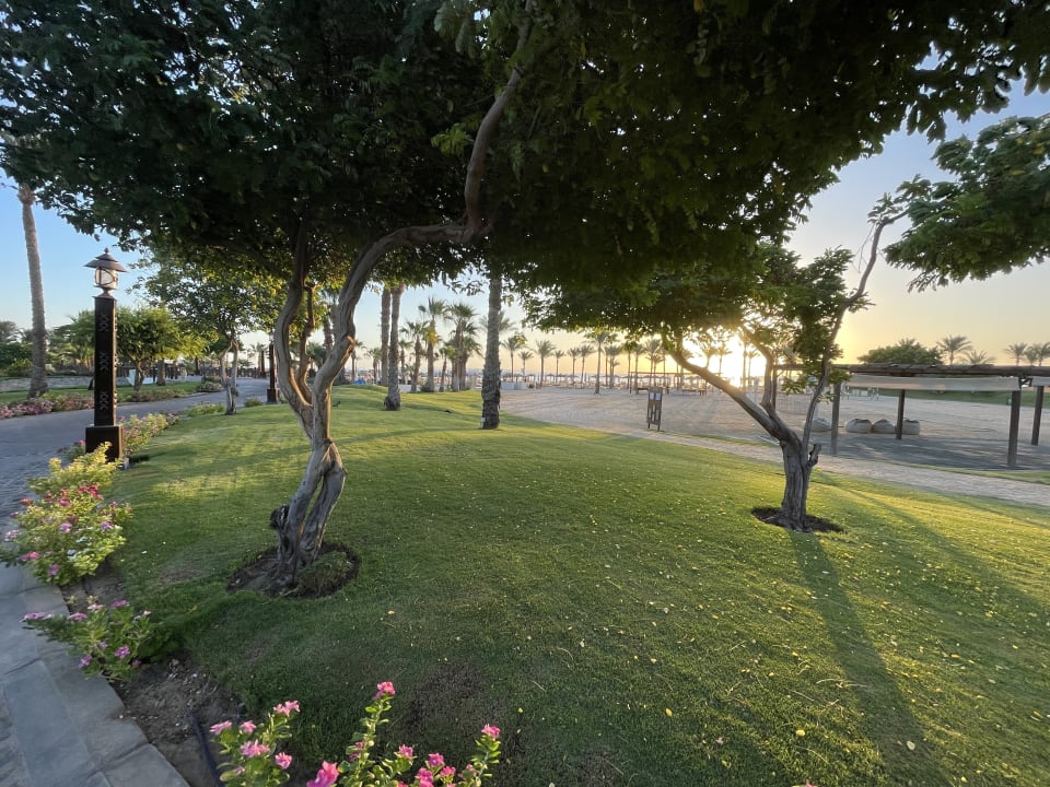 Gartenanlage Steigenberger ALDAU Beach Hotel