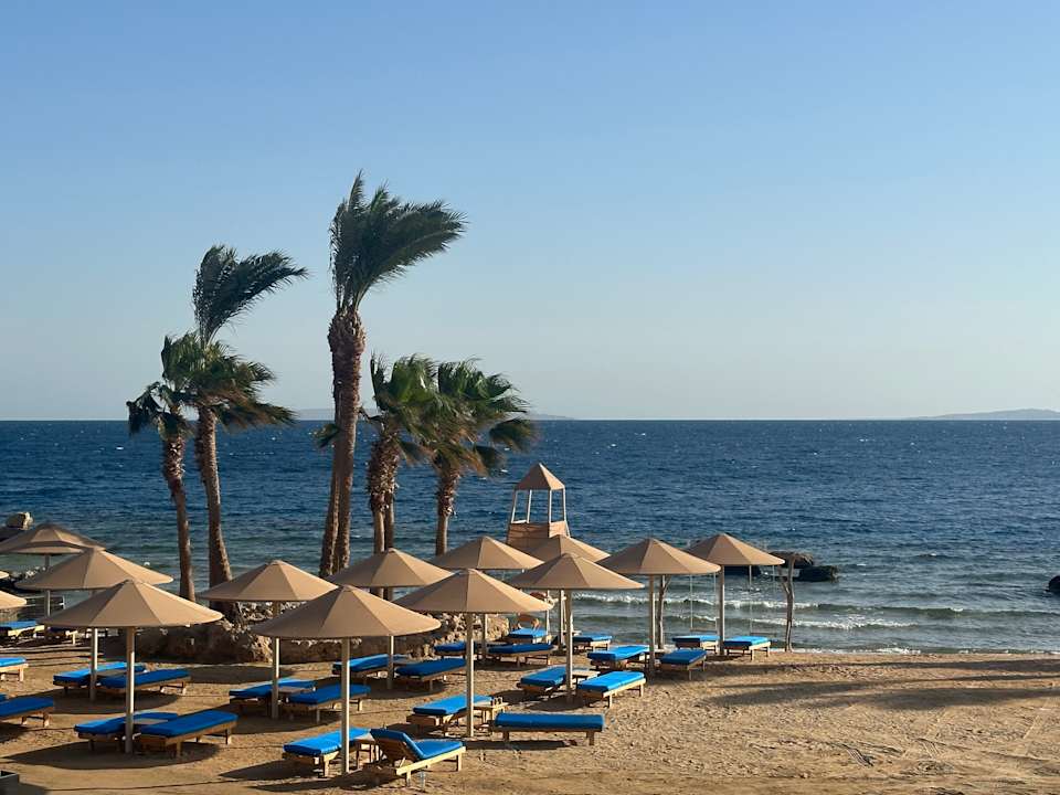 Sonstiges Pickalbatros Citadel Resort