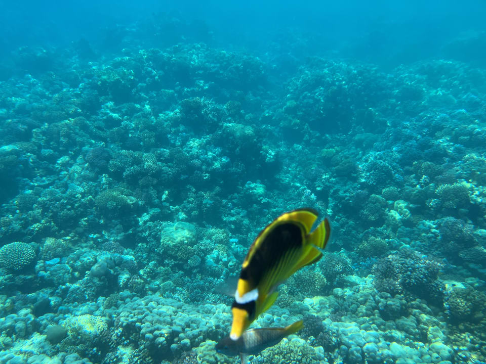 Sport & Freizeit Grand Makadi