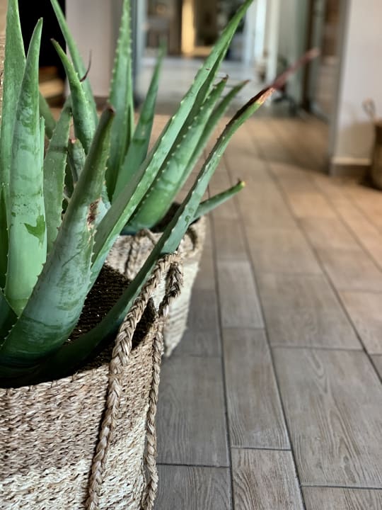 Außenansicht ananea Kos