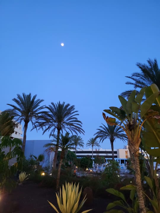 Ausblick Iberostar Waves Gaviotas Park