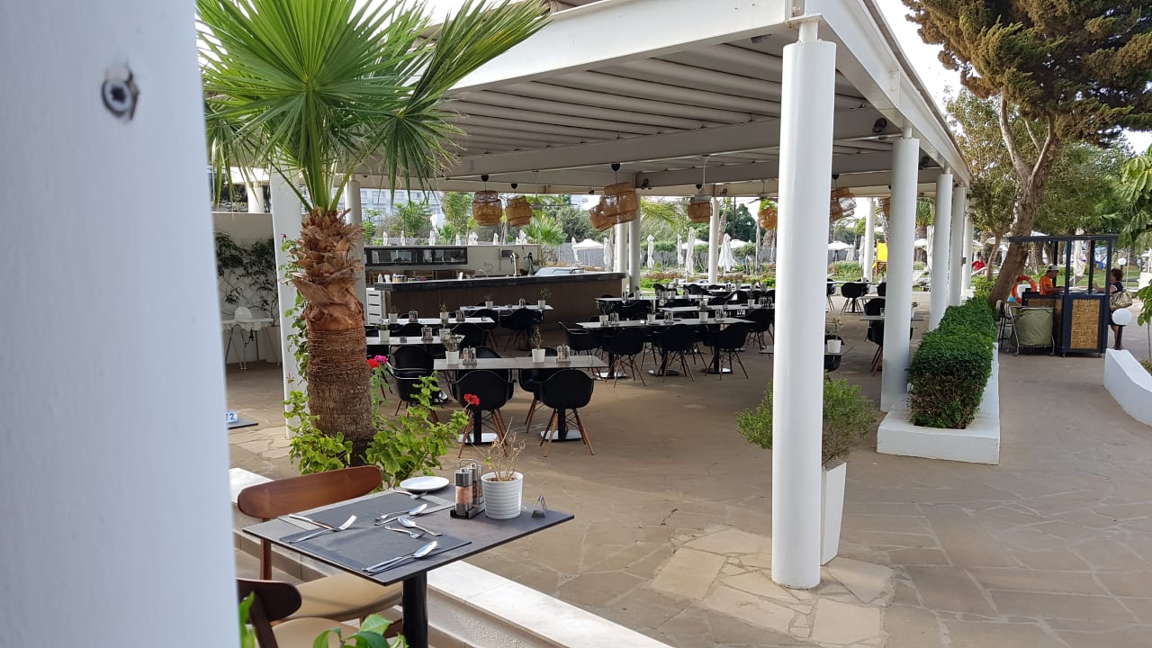 Gastro Crystal Springs Beach Hotel