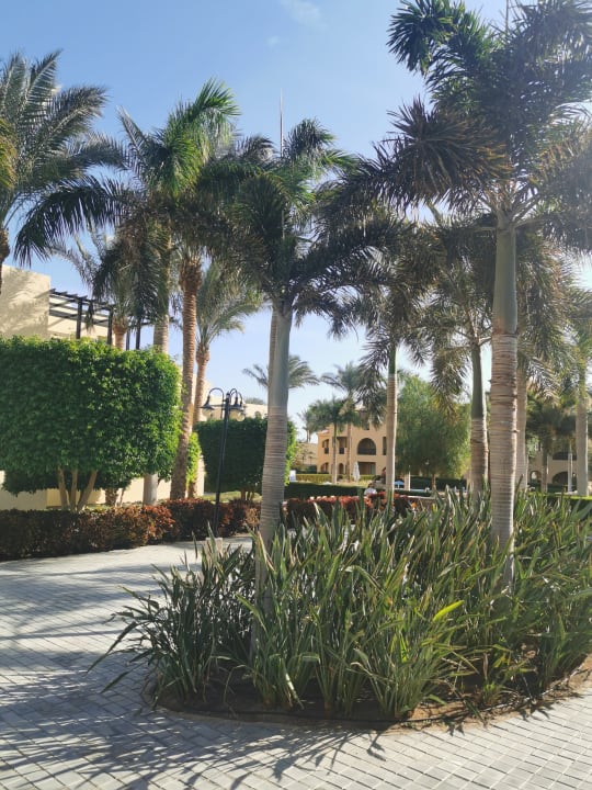 Gartenanlage Stella Garden Resort & Spa, Makadi Bay