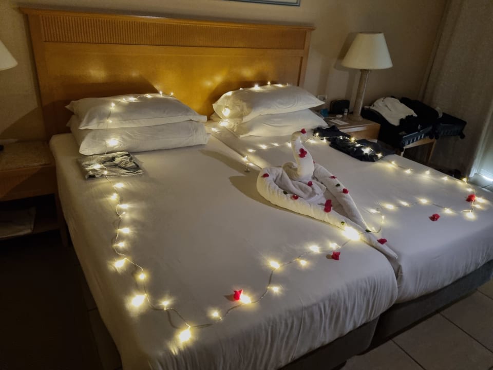 Zimmer Hotel JAZ Makadi Star & Spa