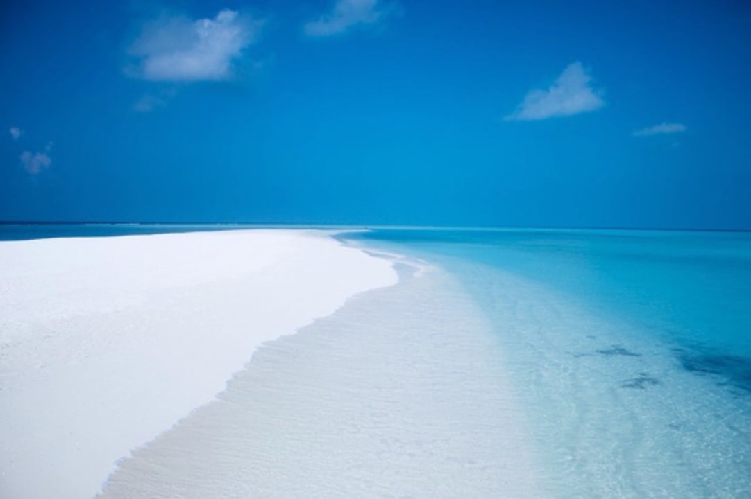 Das ist die herrliche Sandbank - atemberaubend schön Kuramathi Maldives