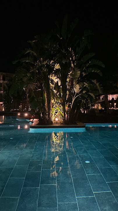 Pool Lara Barut Collection