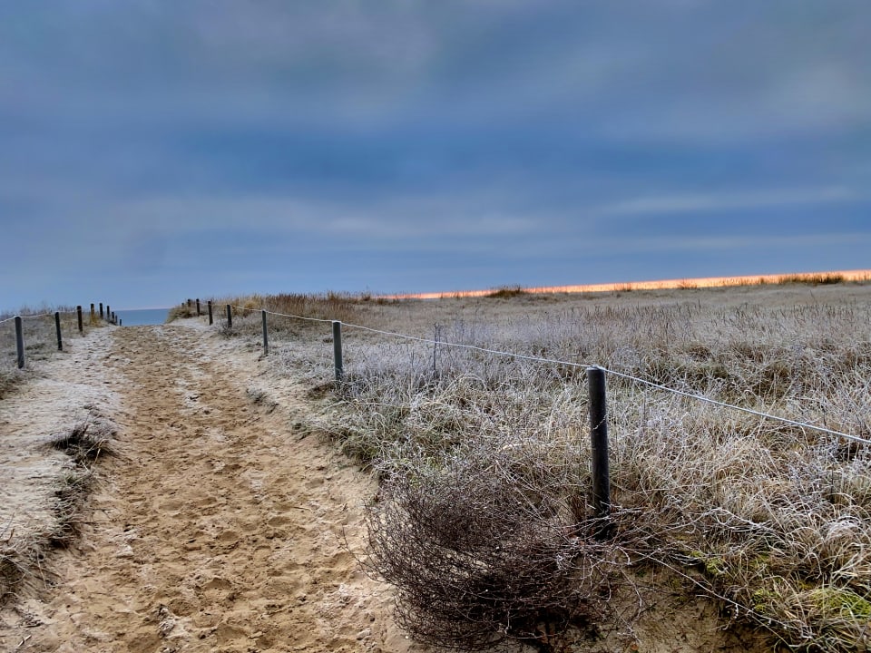 Ausblick Santé Royale Rügen Resort