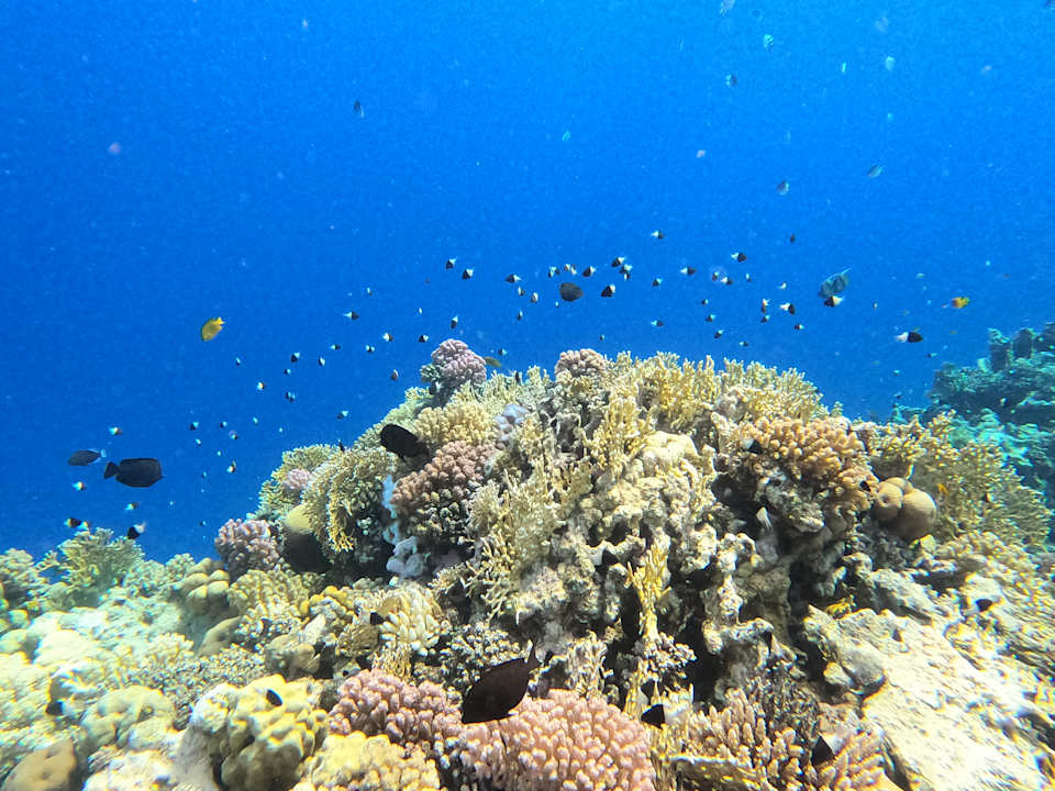 Strand Serenity Alpha Beach